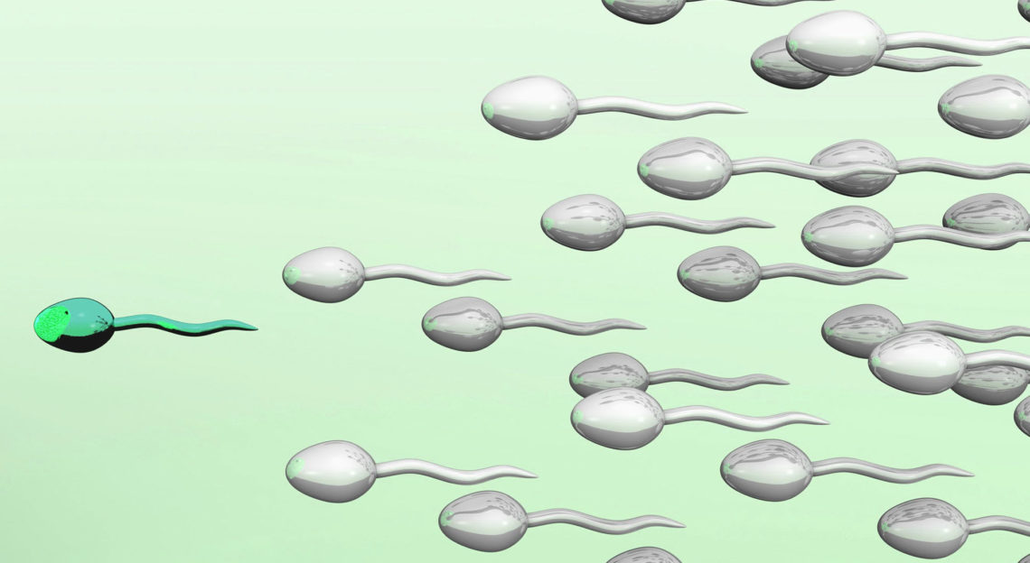 How To Increase Sperm Motility And Morphology Naturally